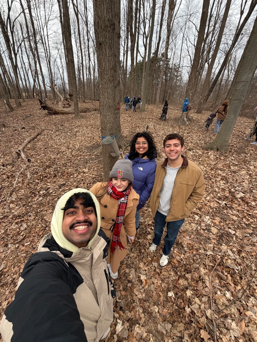 A winter walk through bare woods and fallen leaves with friends.