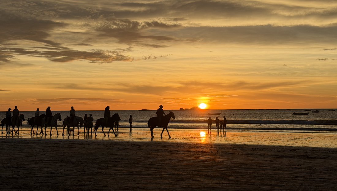 Riders on horseback silhouetted along the beach at sunset.