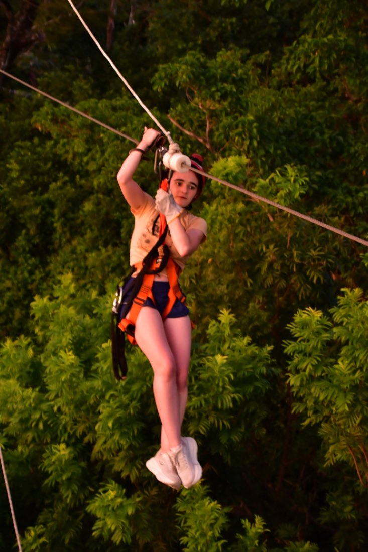 On a zipline through the treetops in the evening light.